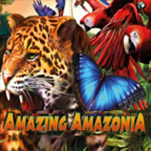 Amazing Amazonia