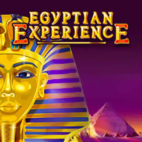 Egyptian Experience